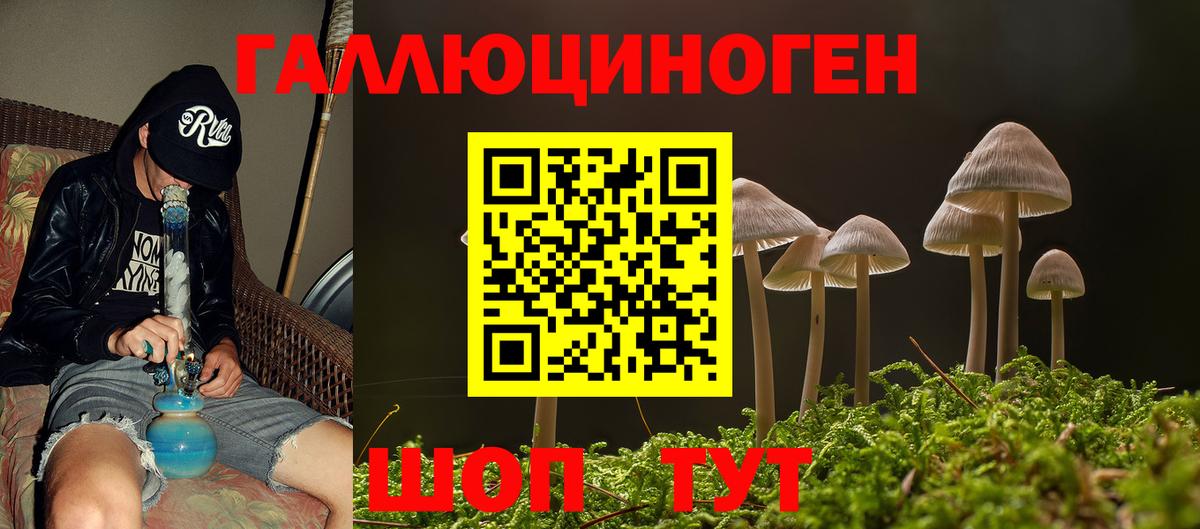 Коряжма  Галлюциногенные грибы прущие грибы  Вход с VPN  Псилоцибиновые грибы ЛСД 