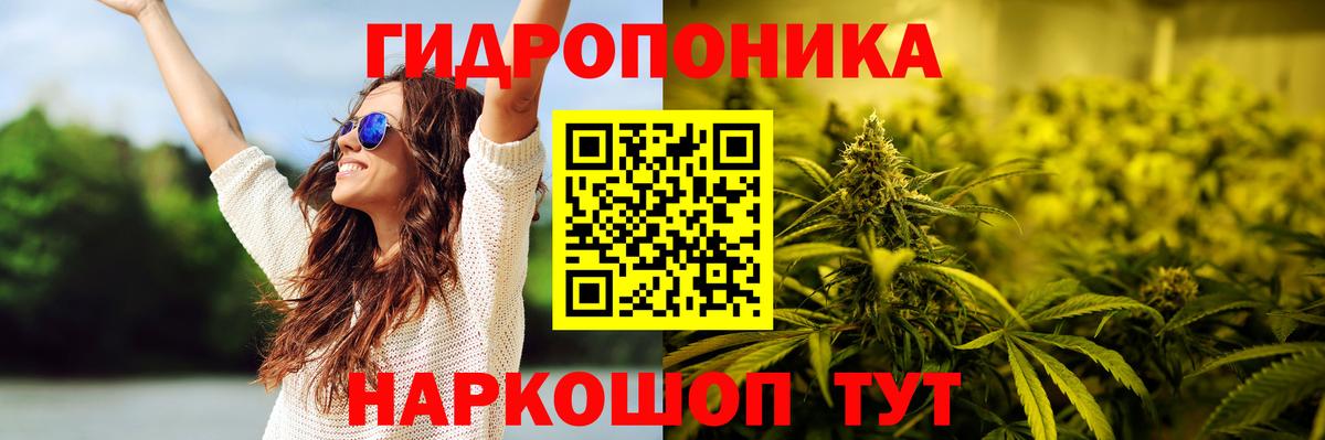 МАРИХУАНА сатива  Конопля индика  Вход с VPN  Коряжма  Бошки марихуана Bruce Banner 